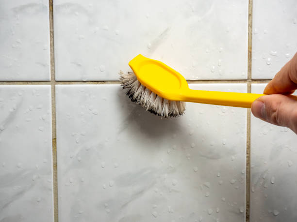 Best Kitchen Mold Remediation in Romeo, MI