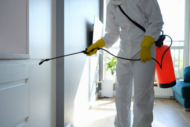  Romeo, MI Mold Removal Pros