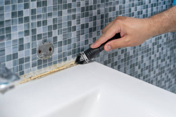 Best Insurance-Related Mold Remediation in Romeo, MI